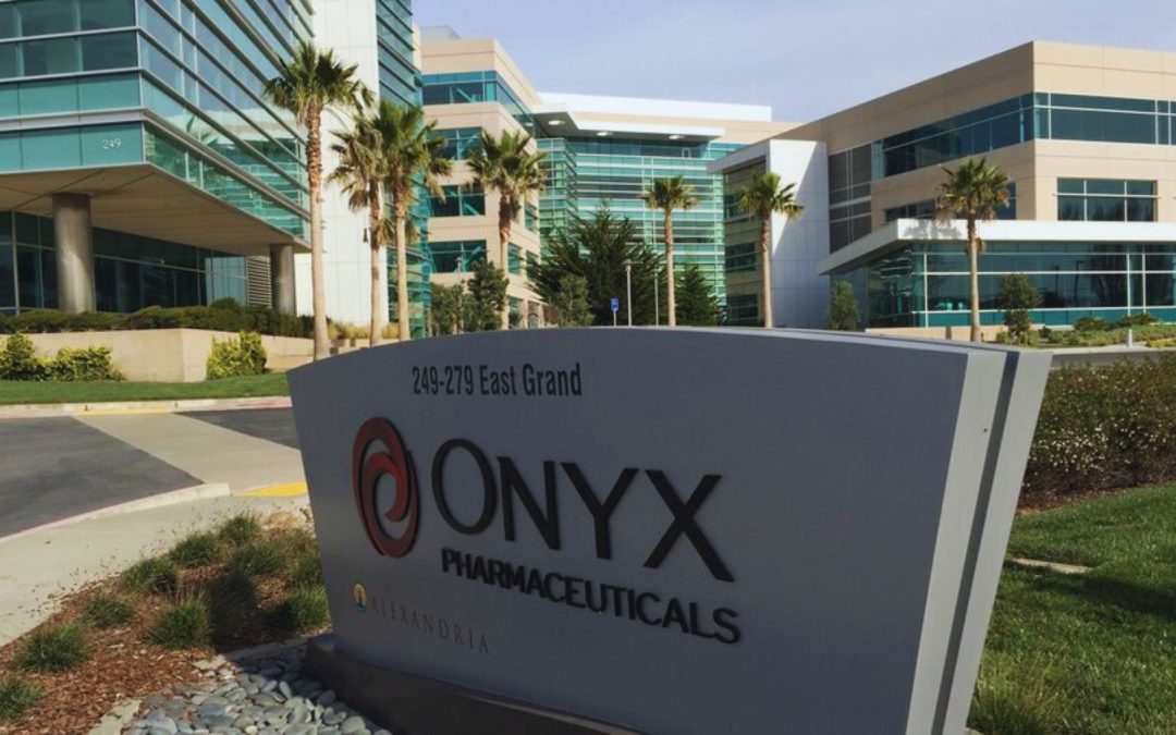 Onyx Biotec Stock Makes Lackluster Market Debut: Impact on Investors