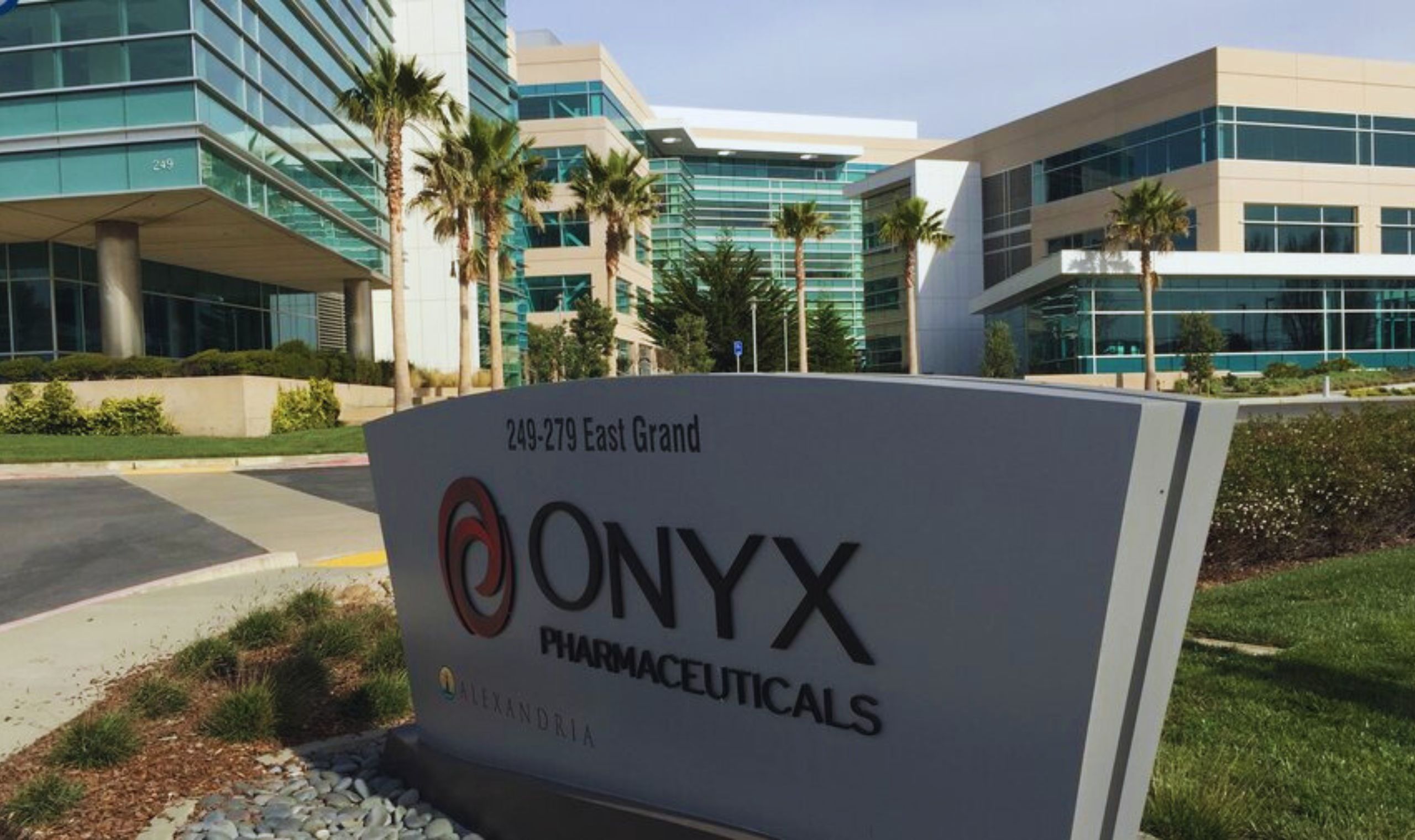 Onyx Biotec Stock Makes Lackluster Market Debut: Impact on Investors