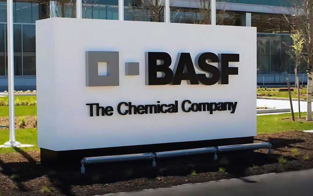 BASF India Shares Surge on Demerger Approval of Agri Solutions