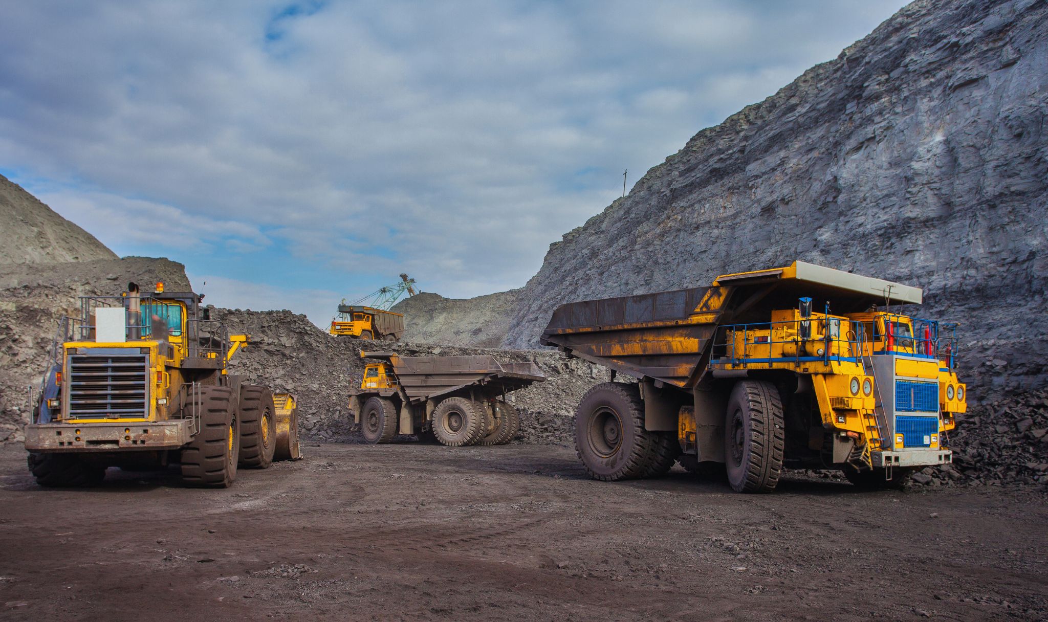 Coal India Shares Up 2% After Q4 FY25 Results & Dividend